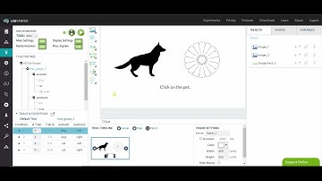 Using the Trial System in Labvanced
