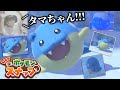 ついにポケスナタマザラシと出逢ってしまったタマザラシニキの最高な反応【Newポケモンスナップ】