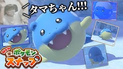 ごまちゃんねる Gomachannel Youtube