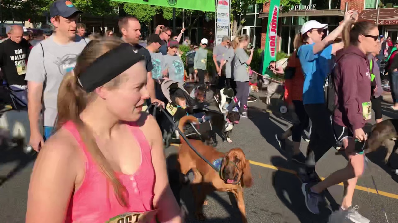 Mutt Strut 2019 Greenville SC YouTube