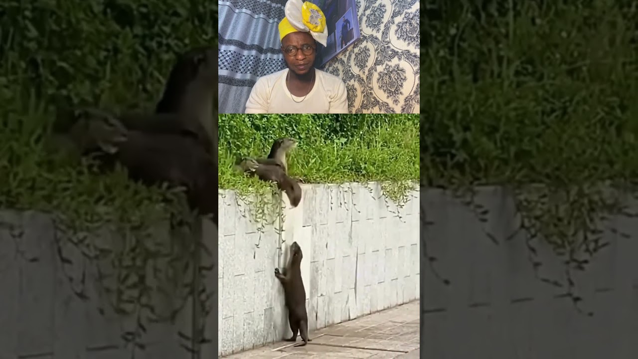 Fantastic Teamspirit🤗