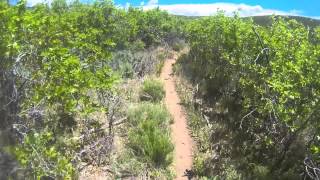 Dutch Hollow Trail - Heber, Ut