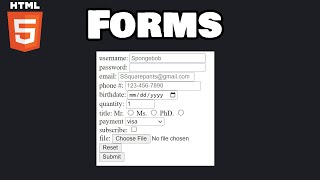 Learn Html Forms In 10+ Minutes! 📝