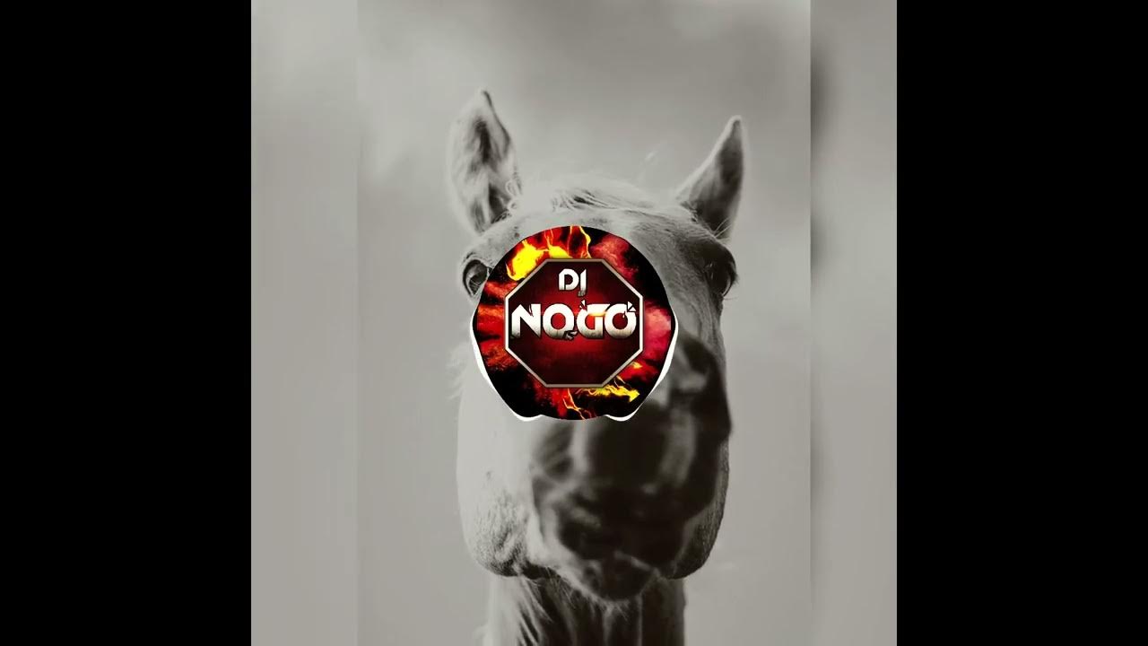 K.I.Z. Ein Affe und ein Pferd (Dj No Go Remix) YouTube