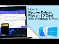 How to Recover Deleted Files on SD Card with Windows &amp; Mac! [2024]