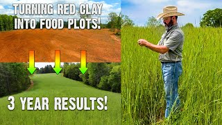 Transforming Red Clay into Healthy Soil: 3 Year Results