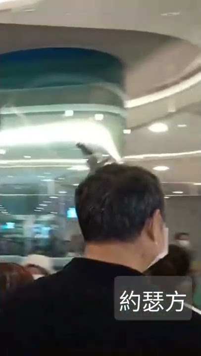 Penguin in Xcafe 企鵝