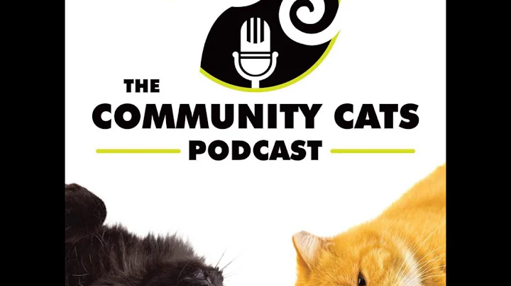 Ep176 - Rebecca Jewell