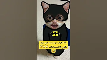 لما تعرف ان لسه في ترم تاني وامتحانات Funny Shortvideo Youtubehighfive 