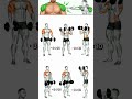 Dumbbell Shoulder Workout at Home 💪
