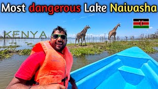 Dangerous Hippos Infected Lake In Africa 🇰🇪