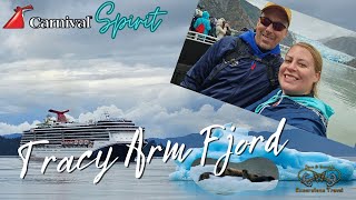 Tracy Arm Fjord & Glacier Explorer Excursion | Carnival Spirit 2023