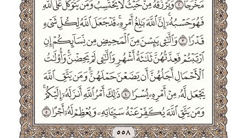 سورة الطلاق مكتوبة l الشيخ علي الحذيفي
