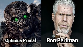 Characters & Voice Actors - Transformers: Rise of the Beasts