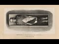 Нетленная мумия Наполеона и другие странные тотемы утопии