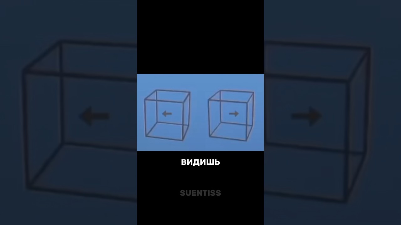 Эта иллюзия называется…