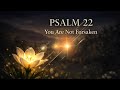 PSALM 22 🎼 You Are Not Forsaken - Spirit Soaking Worship