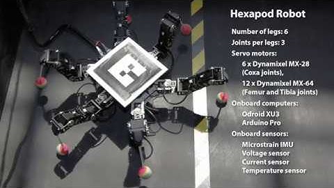 A Testbed that Evolves Hexapod Controllers in Hardware