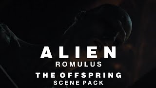 The Offspring Scene Pack | Alien: Romulus