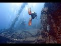 Wreck dive adventure usat liberty bali  bffelkopfpapageifisch go pro 4