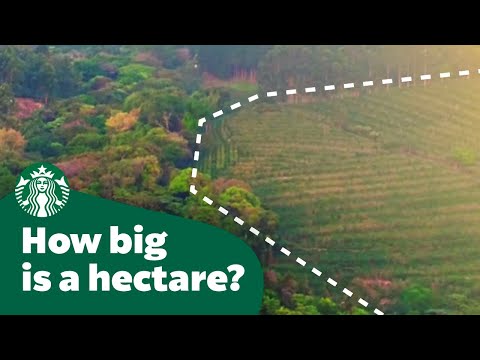 Video: Hva er større hektar eller dekar?