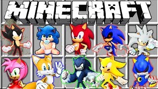 ВЫБЕРИ ПРАВИЛЬНЫЙ СОНИК МОД EXE МУТАНТ В КИНО СЕКРЕТНАЯ БАЗА ЖИЗНЕННЫЙ ЦИКЛ SONIC ТРОЛЛИНГ ЛОВУШКА