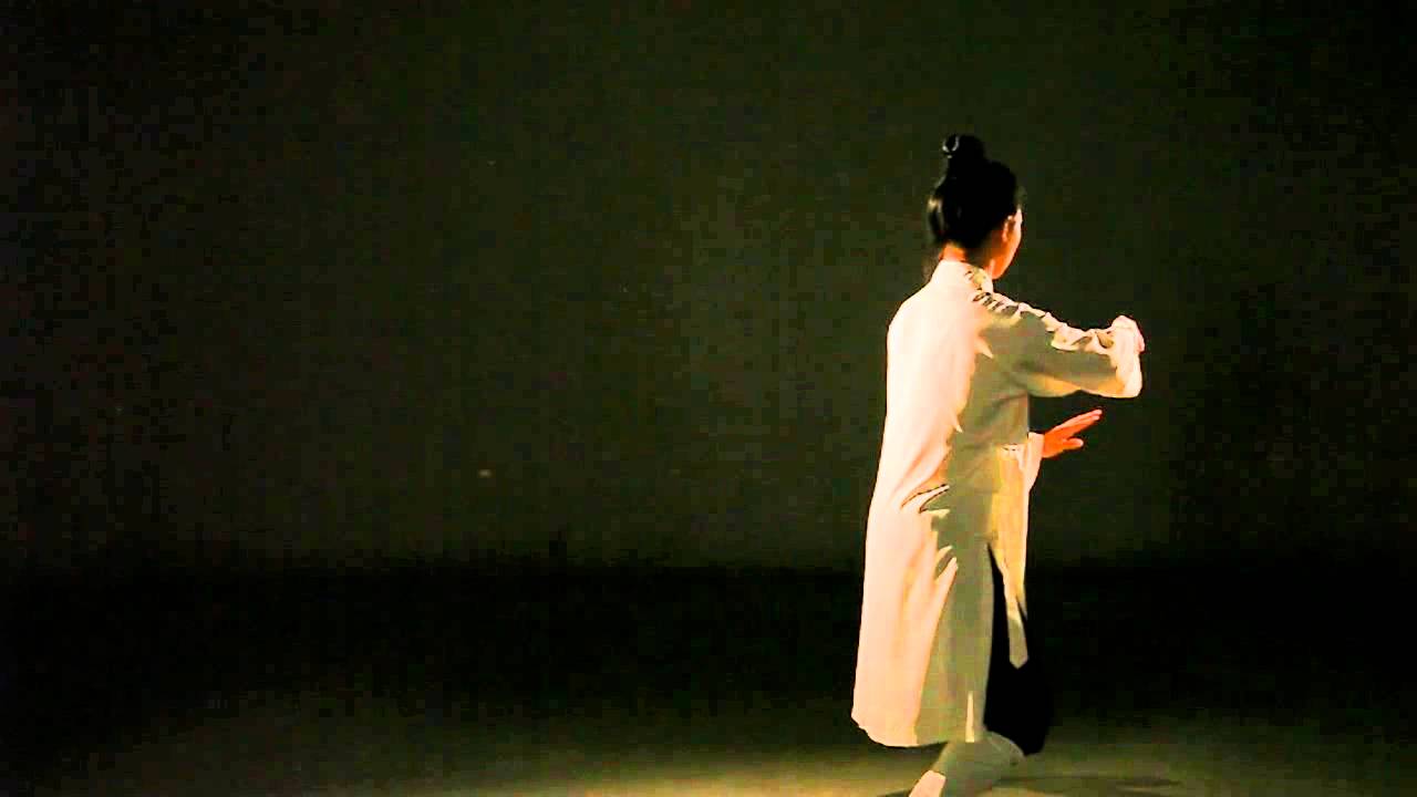 武当太极十三式