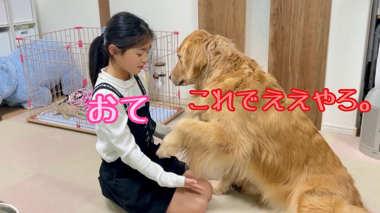 A puppy that gives the impression that he definitely doesn't want