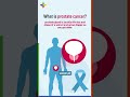 Detect Prostate Cancer Early 🚨 | Signs You Should NOT Ignore