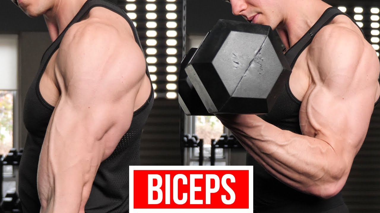 Gym Vs Calisthenics - BICEPS 💪