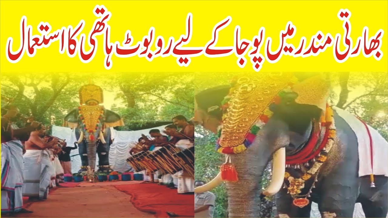 Robotic Elephant in Kerala | Robot Elephant Kerala | Designed Robotic Elephant