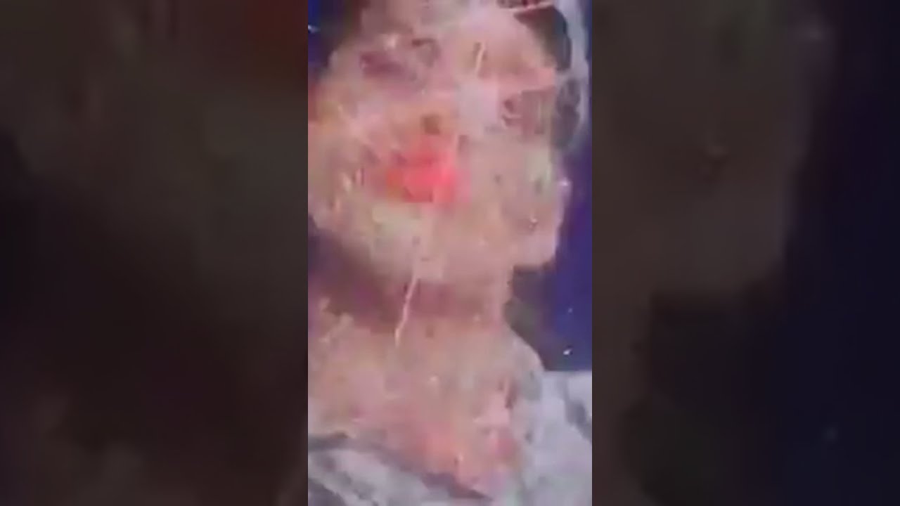 Everything Starts with an 'E' ✨ E ZEE POSSEE feat  MC Kinky 