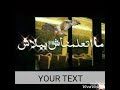 كلاب في بورسعيد AHMED ALAA KENNEL 