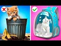 Papa vs beaupre maison chaton astuces et drles par gotcha viral