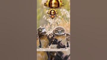 Respect For Conqueror In Pubg Be Like 🗿| #shorts #bgmi #pubgmobile #conqueror #respect