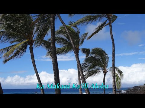 Ka Makani Ka'ili Aloha (ｶ ﾏｶﾆ ｶｲﾘ ｱﾛﾊ、歌詞・コードtき) kathy 