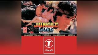 Hum Toh The Anjaane Anuradha Paudwal Jungele Love song