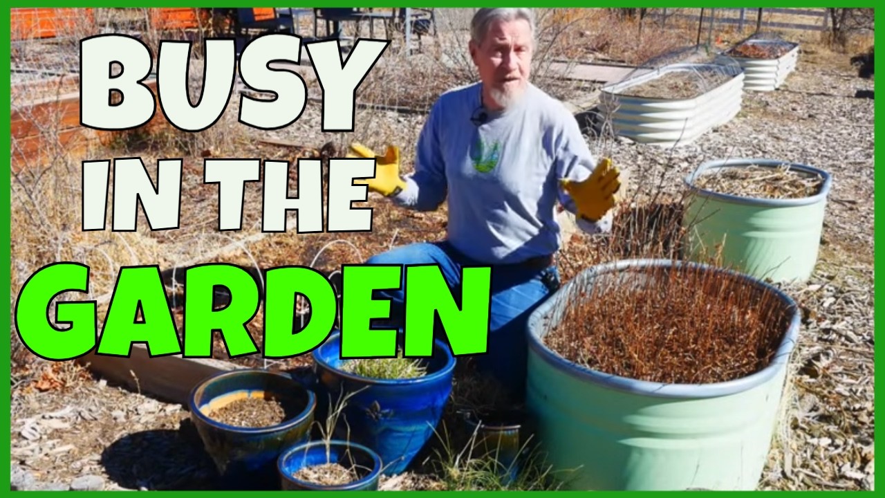 Экскурсия по саду и садовые заботы (В саду 2-26)