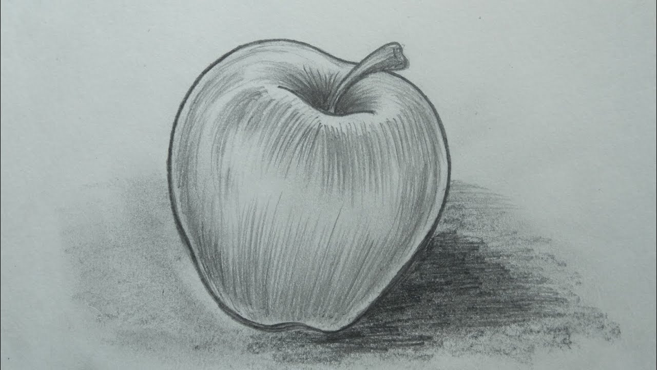 How to draw An Apple with pencil shading for beginners - YouTube