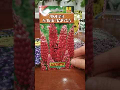 Обзор семян многолетних