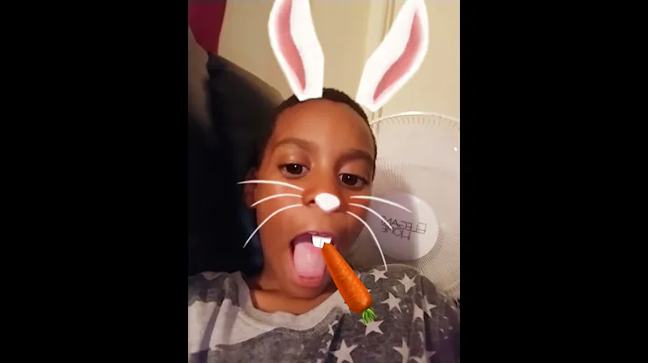 The Bunny