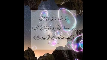 سورة التوبة الآية ( 14 )