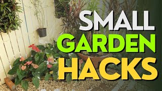 8 Genius Small Garden Hacks: Low-Maintenance Magic! 🌟🏡 screenshot 5