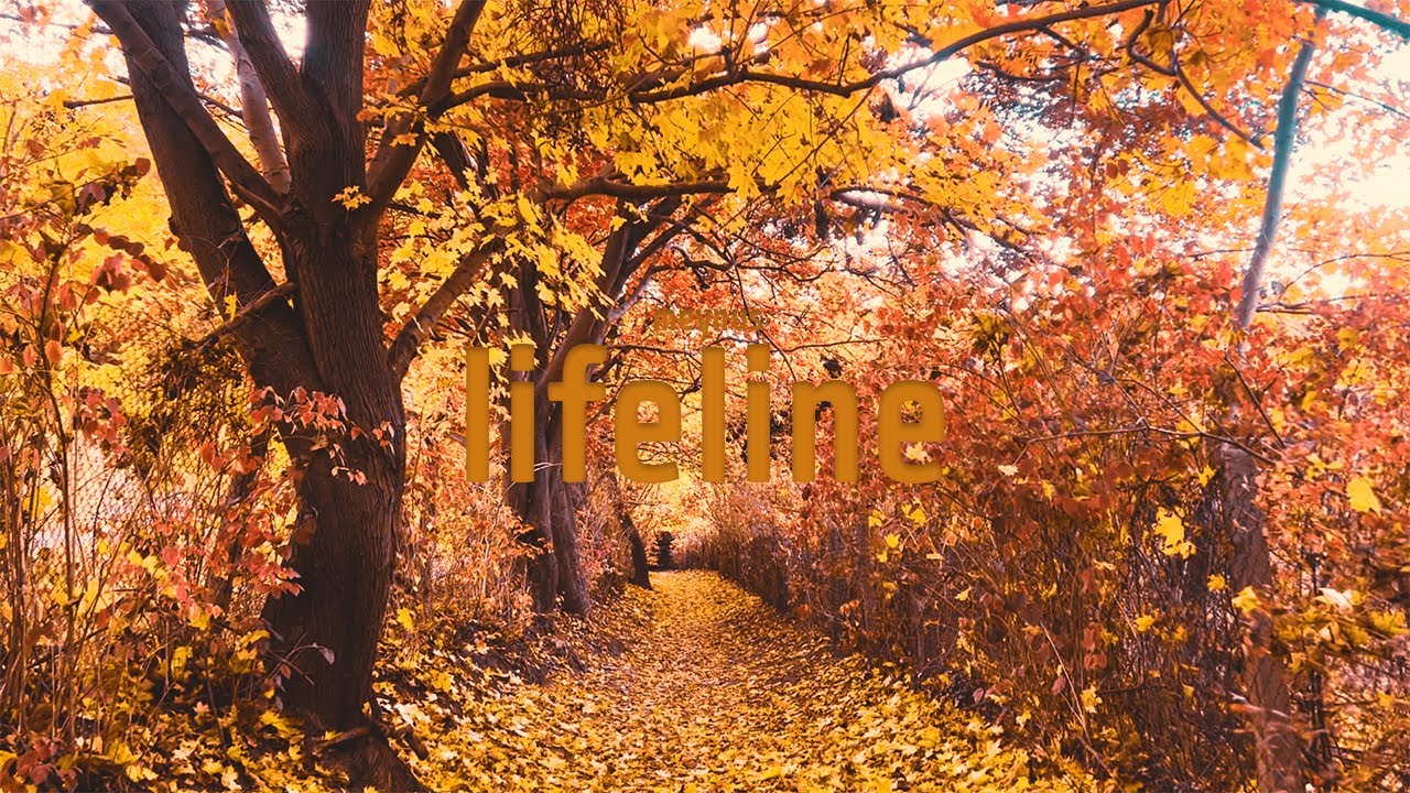 Watch meynus - lifeline on YouTube Watch meynus - lifeline on YouTube
