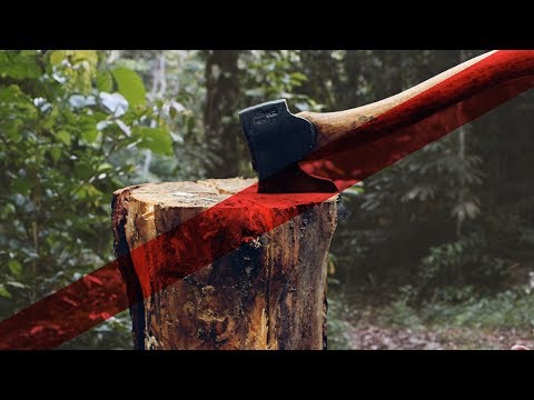 Video: Kodėl miško kirtėjai iškerta atogrąžų miškus?