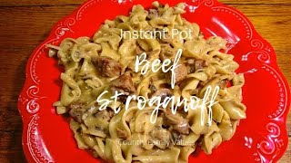 Beef Stroganoff (Instant Pot) by Country Family Values 172 views 2 years ago 6 minutes, 15 seconds