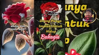 Kumpulan Quotes MOTIVASI Harian KEKINIAN - Story Hari Ini - Inspirasi Hidup