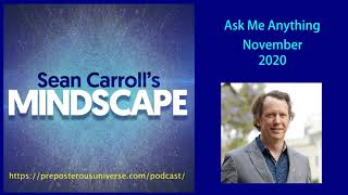 Mindscape Ask Me Anything, Sean Carroll | November 2020