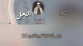 الشيخ محمد عمران سورة النحل رست سيكاه هزام
