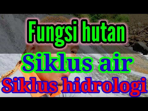 Video: Apa fungsi siklus hidrologi?